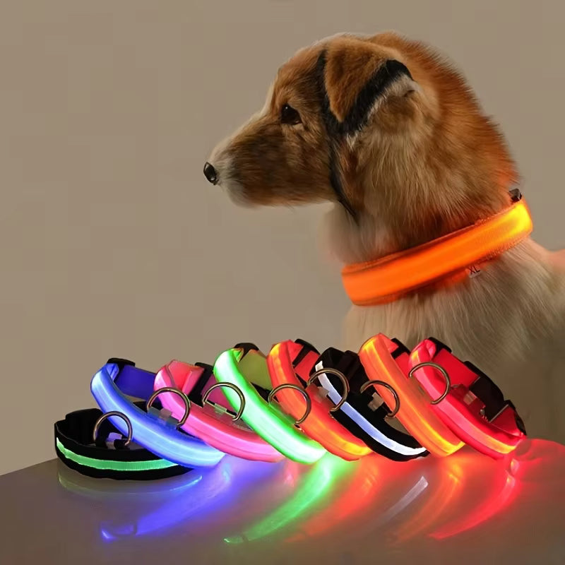Pet Accessories