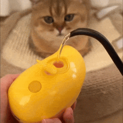 🐱 Cat Steam Brush – 3-in-1 Self-Cleaning Grooming Brush