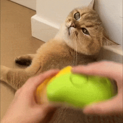🐱 Cat Steam Brush – 3-in-1 Self-Cleaning Grooming Brush